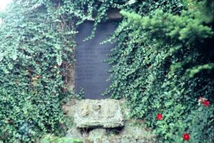 Kriegerdenkmal, von Efeu überwachsen