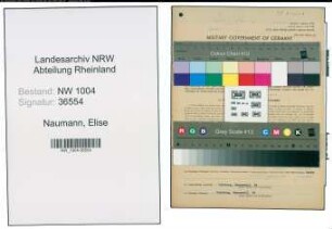 Entnazifizierung Elise Naumann , geb. 19.10.1913 (Kauffrau)