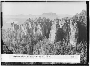 Basteigebiet. Blick in den Wehlgrund
