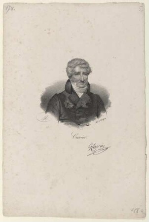Bildnis des Cuvier