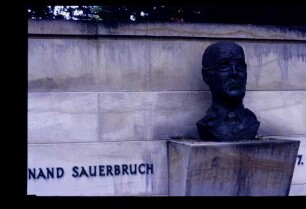 Sauerbruch-Büste 21.9.86