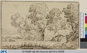 Flusslandschaft mit bewaldeten Hügeln
