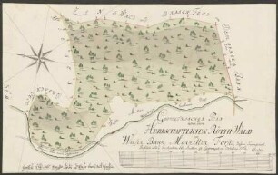 Geometrischer Plan über den herrschaftl. Roethi-Wald im Wieser Bann Marzeller Forsts