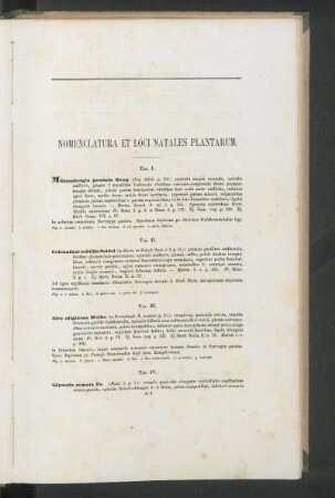 Nomenclatura, Supplementum Fasciculus I