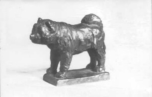 Stehender Hund (Chow-Chow) : Chinesischer Hund Tschau-Tschau (Chow-Chow). Bronze (vor 1952; E. Richter). Dresden-Striesen, Borsbergstraße 11, Atelier der Künstlerin