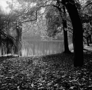 Kurpark: Salzteich mit Spiegelung der Bäume im Wasser: vorn Weg mit Blättern: rechts, links und hinten Bäume
