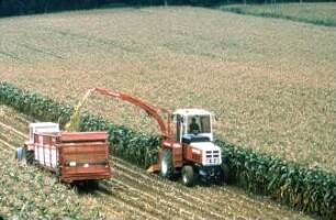 Fotografie: Ernteverfahren, Silomais, Parallelverfahren