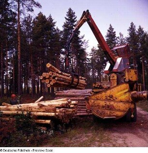 Technikgeschichte | Forstwirtschaft, Jagdwesen | Forstwirtschaft | Holztransport| Holzeinschlag