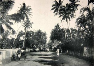 "Galle Road, Colombo No. 44"