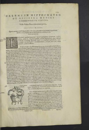 Commentarius tertius.