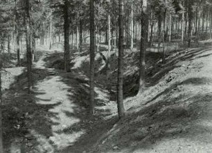 Ringwall Hohenforst