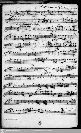 Violino primo.