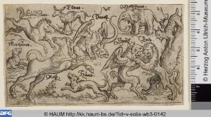 Verschiedene Tiere, darunter ein Greif und ein Elefant