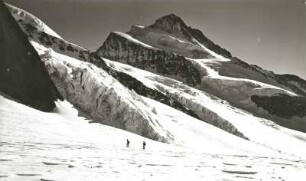Berner Alpen. Finsteraarhorn (4274 m) vom Walliser Fiescherfirn