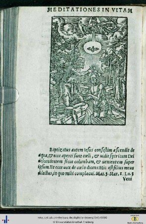 Theoria 41 - 50