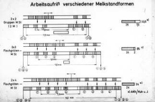 Arbeitsaufriß verschiedener Melkstandformen
