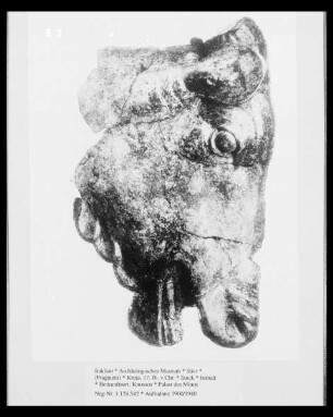 Stier