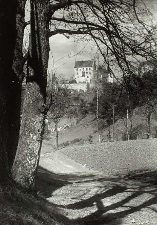 Gößweinstein, Burg : Gößweinstein. Blick zur Burg von der Ludwigshöhe (von Südsüdosten)