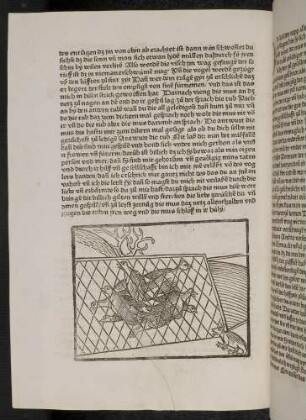 Die Tauben im Netz und die Maus; (Kapitel IV: Von der Taube und von treuen Gefährten)