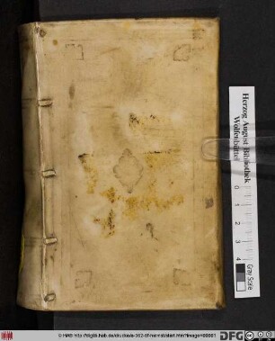 Evangelia Anniversaria Dierum Dominicorum Et Praecipuorum Festorum : Una Cum Perioche Et Summaria Singulorum Expositione Erudita