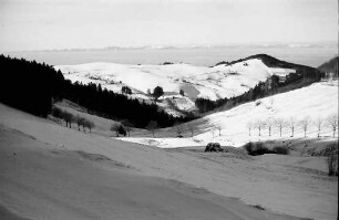 Schauinsland: Blick von der Holzschlägermatte auf Horben - Vogesen