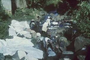 Reisefotos. Wäscherinnen in einem Fluss (vielleicht in der Karibik)
