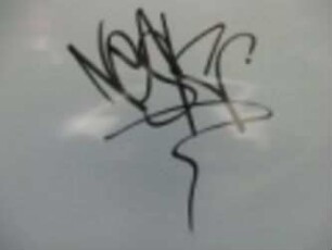 NeSk