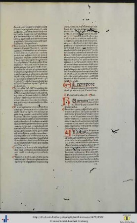 Qui matrimonium accusare possint