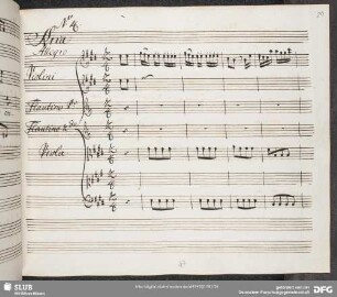4. Domingo Terradellas - Merope 
