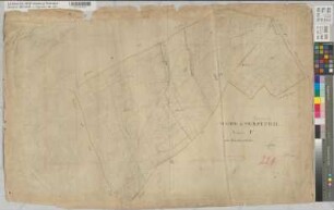 Mairie de Merzenich, Section P dite Kleinbuschfeld 1: 2500. Gemeinde Merzenich (alte Urkarte)
