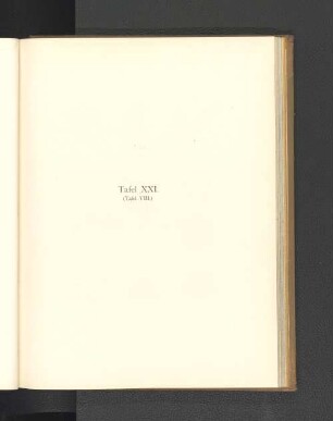 Tafel XXI. (Tafel VIII.)