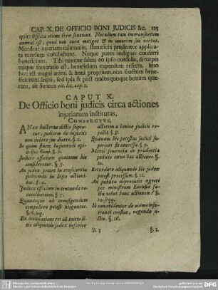 Caput X. De Officio boni iudicis circa actiones iniuriarum institutas