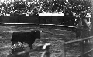 Barcelona [Spanien]: Stierkampf, Angriff vom Pferd