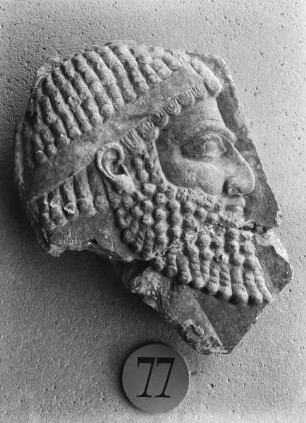 Bärtiger Kopf