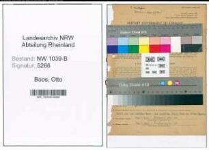 Entnazifizierung Otto Boos , geb. 17.06.1909 (Kaufmann)