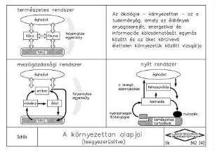 A Koernyezzetan alapjai (leegyszeruesitve)