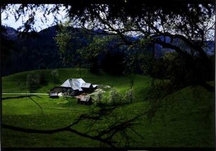 Breitnau: Schwarzwaldhof, von oben