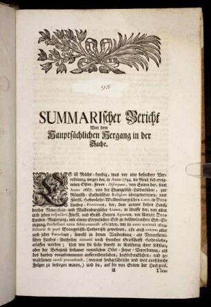 Summarischer Bericht von dem Hauptsächlichen Hergang in der Sache.