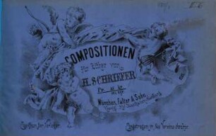 Compositionen : für Zither