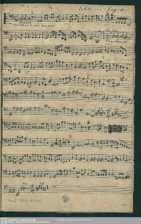 Violone overo Fagotto.