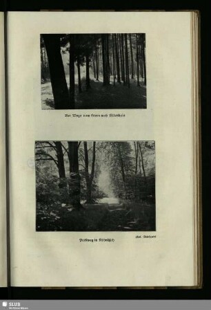 Parkweg in Kühnitzsch