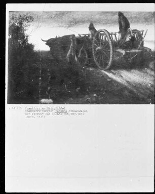Ochsenwagen auf Fahrweg bei Abendlicht