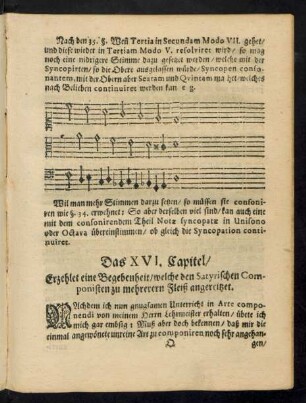 Das XVI. Capitel/ Erzehlet eine Begebenheit/ welche den Satyrischen Componisten zu mehrerern Fleiß angereitzet.
