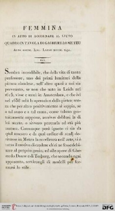 VIII. Femmina in atto di accordare il liuto. Quadro in tavola di Gabbriello Metzu