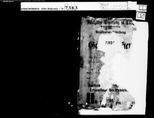Organisation der Synagogengemeinden nach dem Gesetz vom 23. Juli 1847 Bd. 2