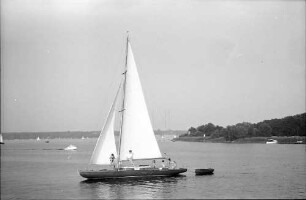 Berlin; Sakrow: Segler auf der Havel