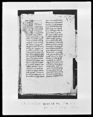 Bernhard von Clairvaux, Sermones in Cantitum Canticorum — Initiale E, Folio 219 recto