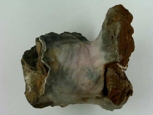 Calcit, Sinter
