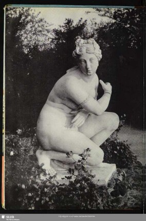 54 Venus im Wörlitzer Park
