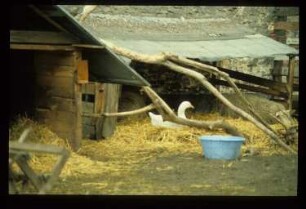 Diapositiv: Adalbertstraße, Bethaniendamm, Januar 1983